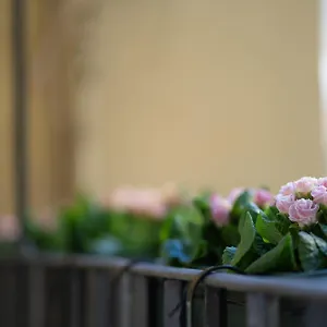 Pgrhome Croce Apartamento Roma